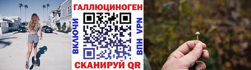 Галлюциногенные грибы мухоморы  ссылка на мегу вход  Камышин 